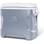 Igloo Iceless Thermoelectric Cooler