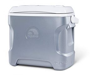 Igloo Iceless Thermoelectric Cooler
