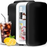 YSSOA 4L Mini Fridge 6 Can Portable Cooler & Warmer