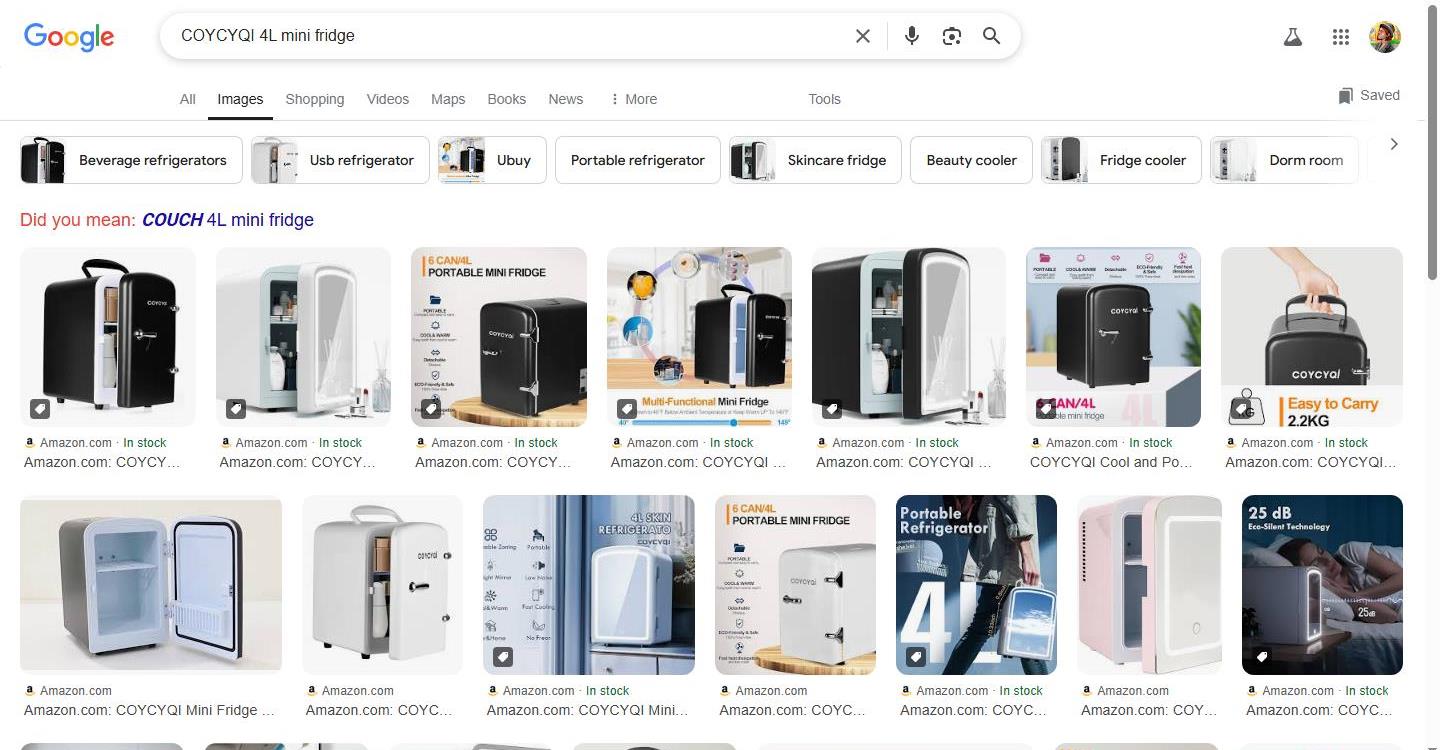 COYCYQI Mini Fridge Search Results