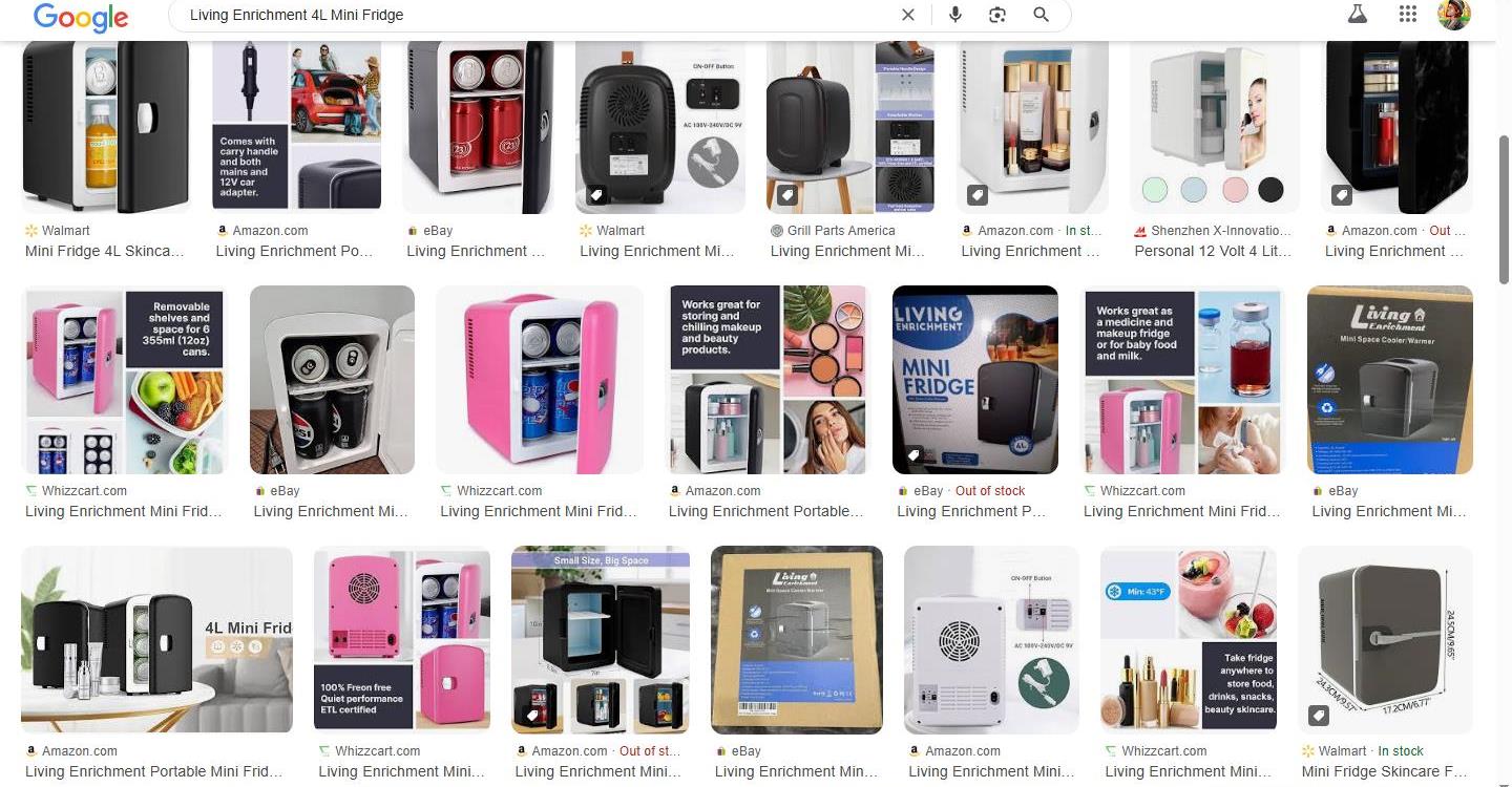 Living Enrichment 4L Mini Fridge: Compact and Versatile