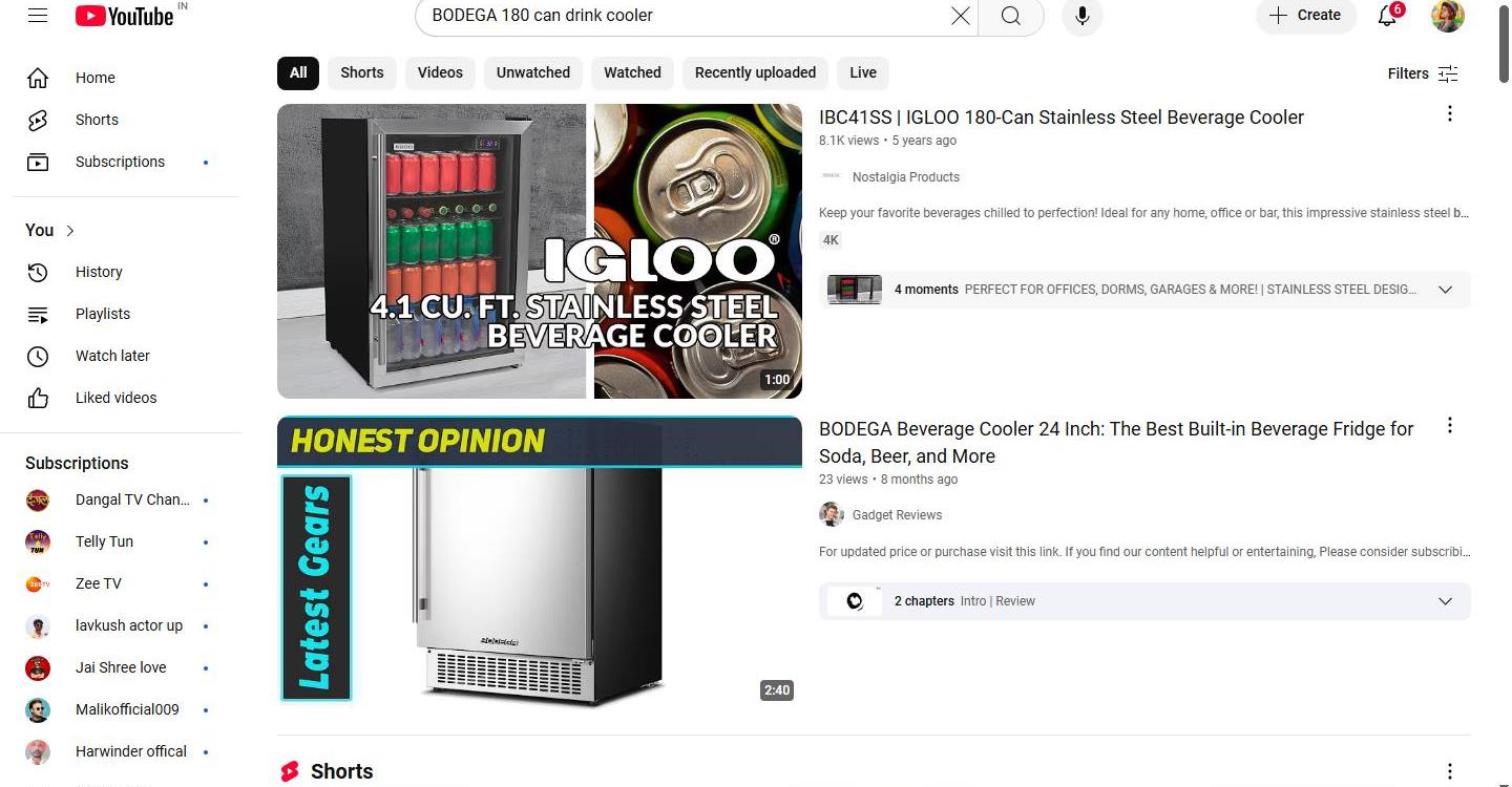 YouTube Screenshot Shows Two Beverage Cooler Reviews