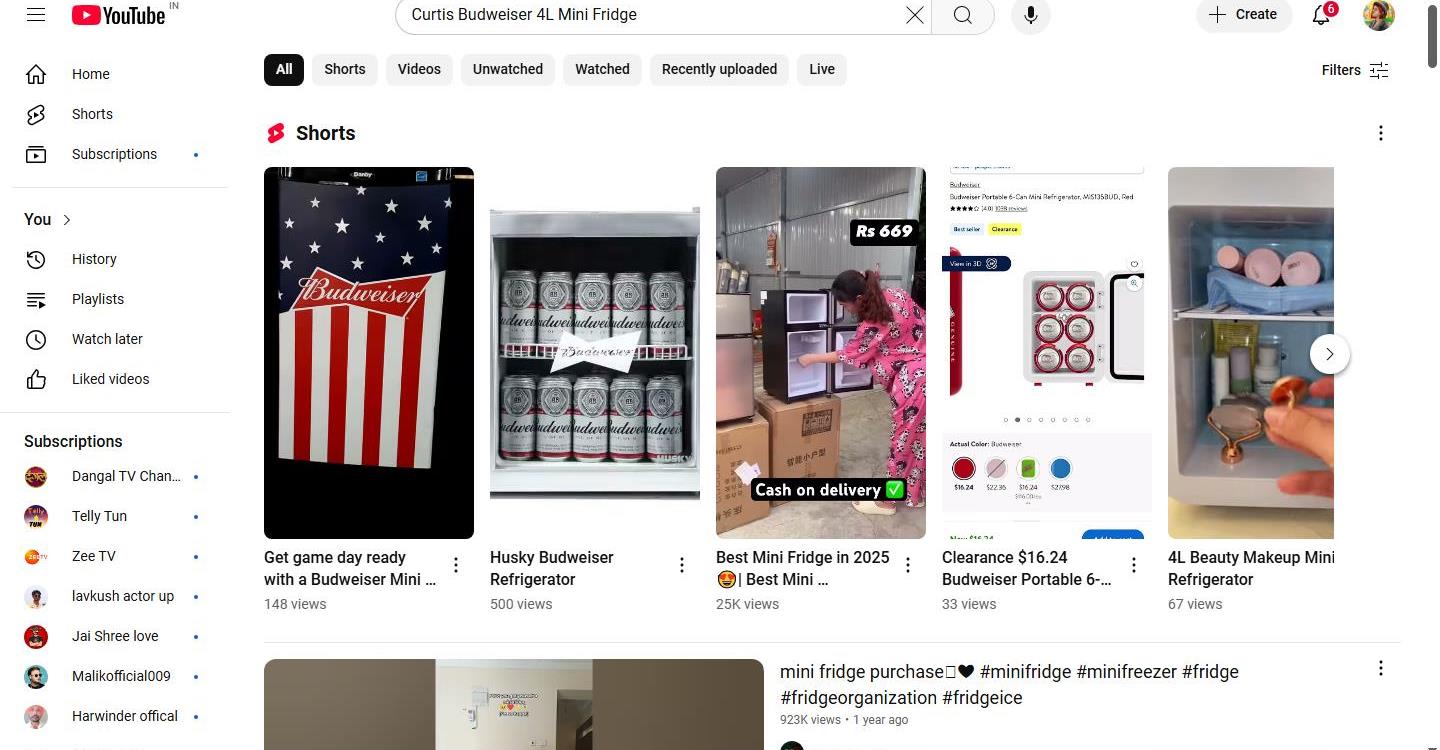YouTube Search Results for 'Curtis Budweiser 4L Mini Fridge'